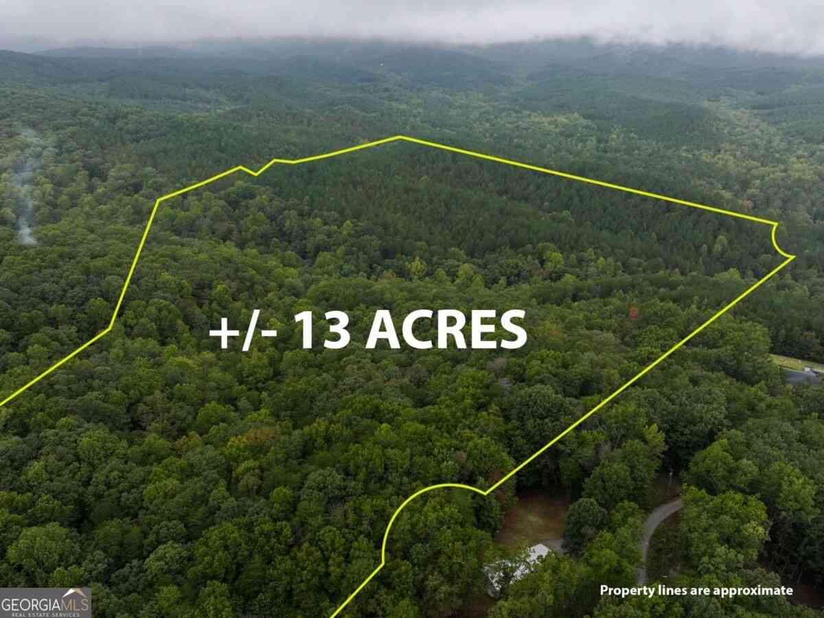 Vacant Land For Sale - Adrianne Lane<br/> Dawsonville, GA 30534