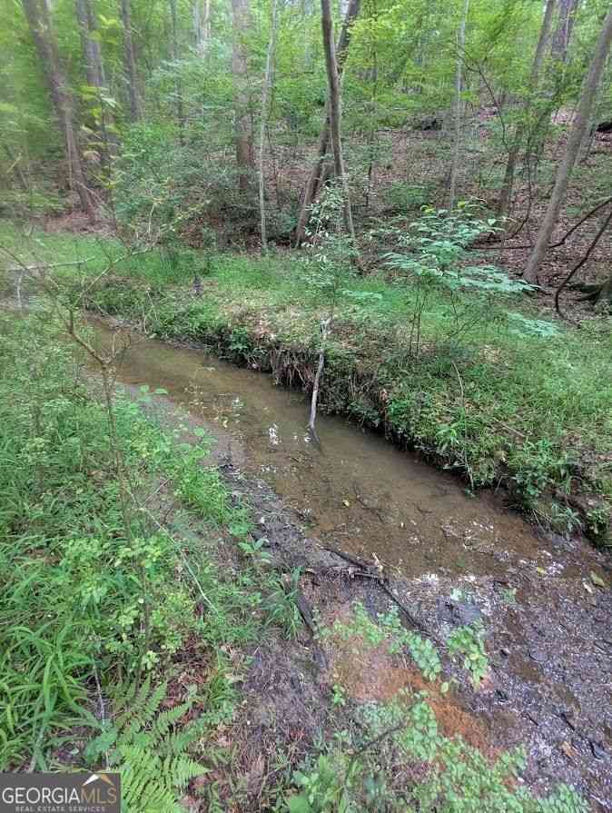Vacant Land For Sale - 2773 River Road<br/> Ellenwood, GA 30294