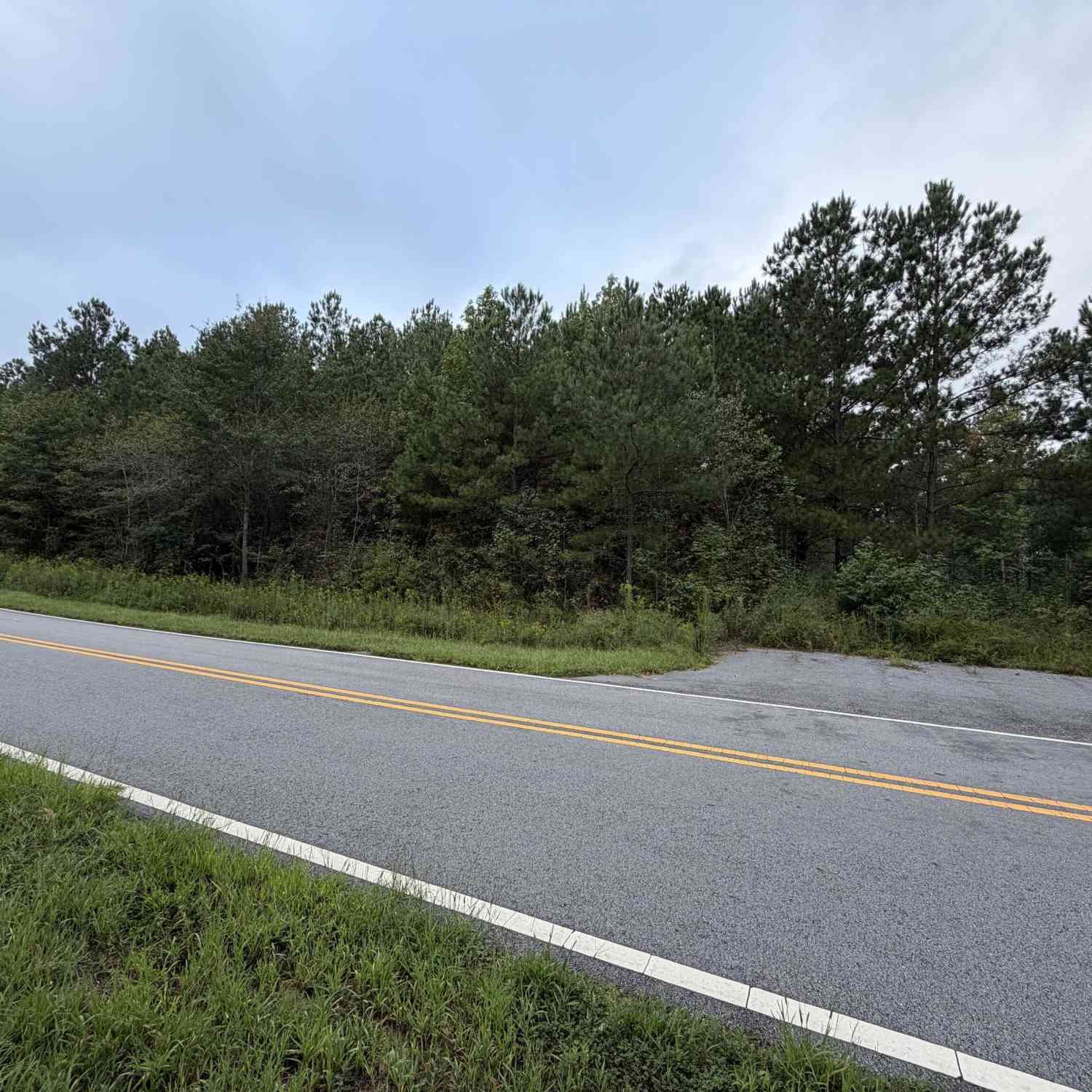Vacant Land For Sale - 541 Hamp Chappell Road<br/> Carrollton, GA 30117