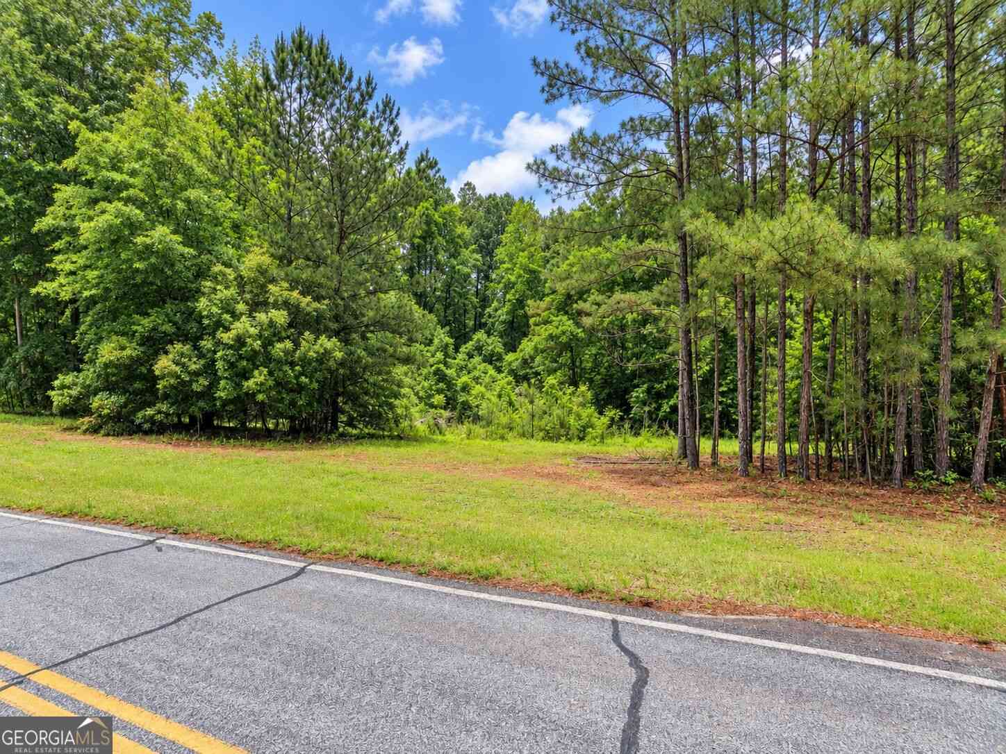 Vacant Land For Sale - 3 ACRES Adcock Road<br/> Coweta County, Newnan, GA 30263