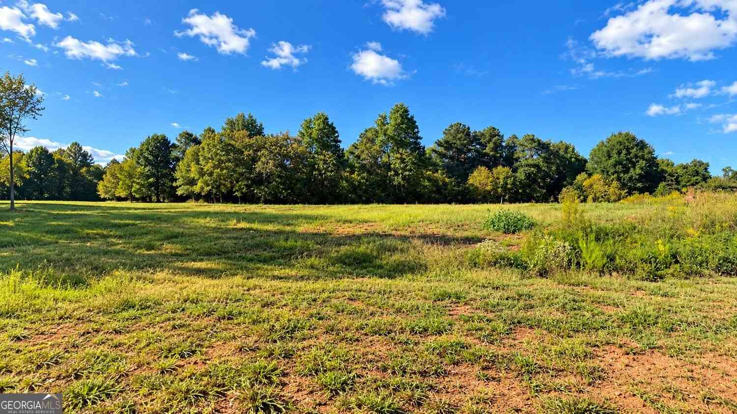 Vacant Land For Sale - 8005 Grand Meadow Run<br/> Forsyth County, Gainesville, GA 30506