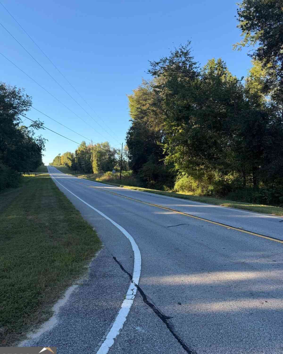 Vacant Land For Sale - Hwy 1 N<br/> Emanuel County, Swainsboro, GA 30401