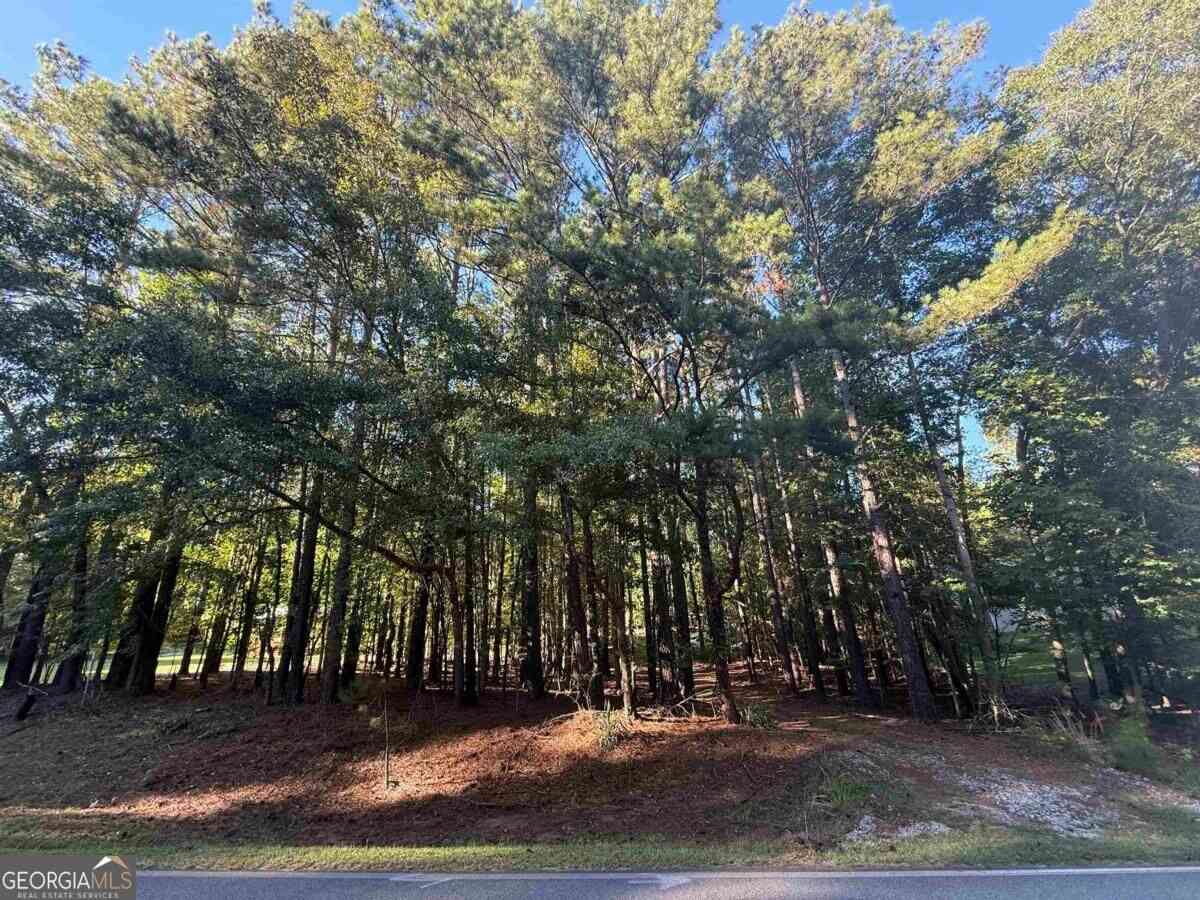 Vacant Land For Sale - 215 Rockville Springs Drive<br/> Putnam County, Eatonton, GA 31024