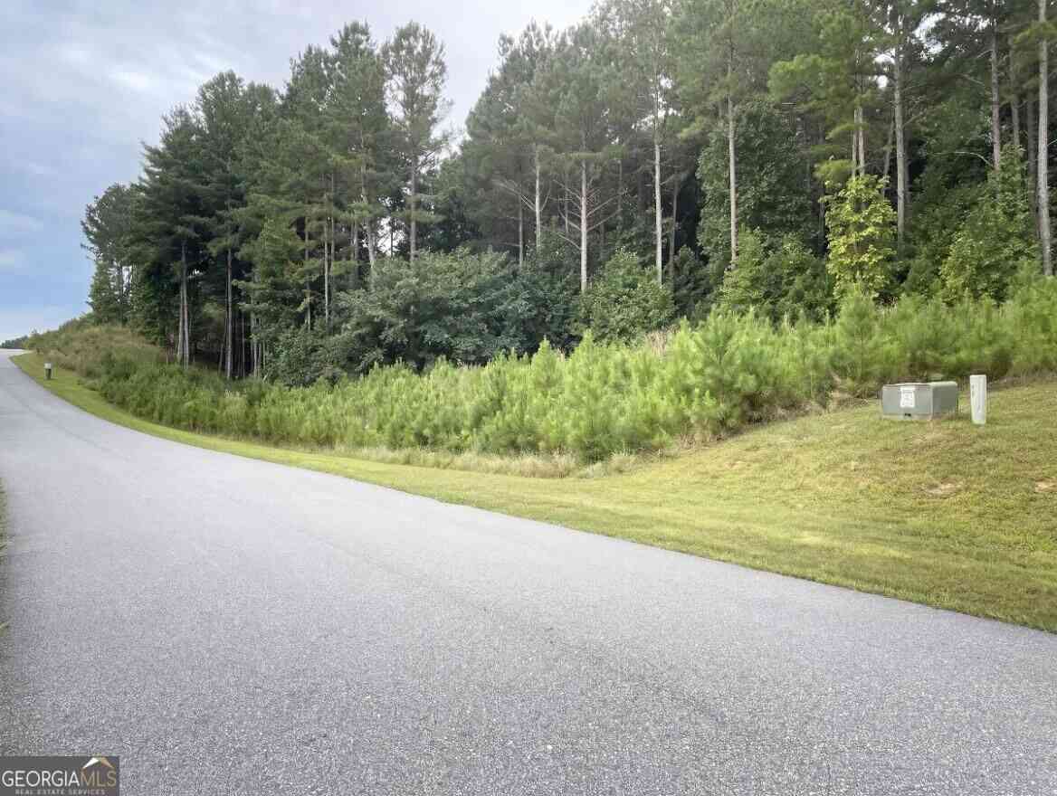 Vacant Land For Sale - LOT 157 The Stables At Thirteen Hundred No Street Suffix<br/> Blairsville, GA 30512