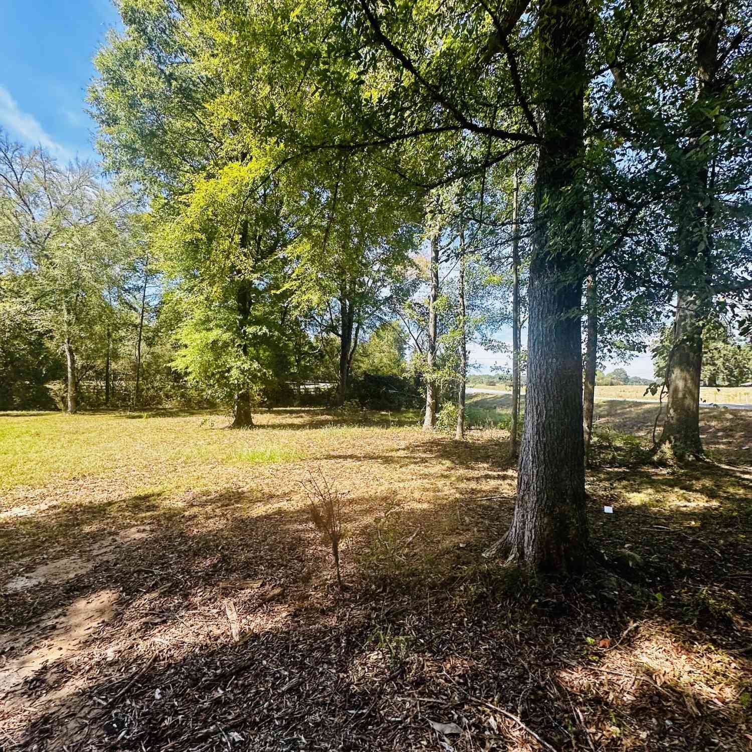 Vacant Land For Sale - Newnan Road<br/> Brooks, GA 30205