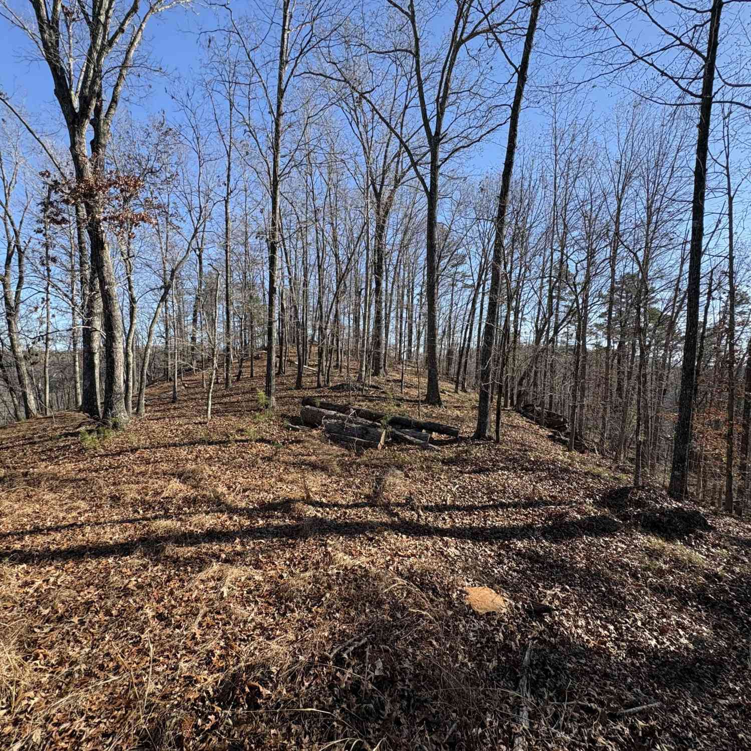 Vacant Land For Sale - Lawrence Road<br/> Dawsonville, GA 30534