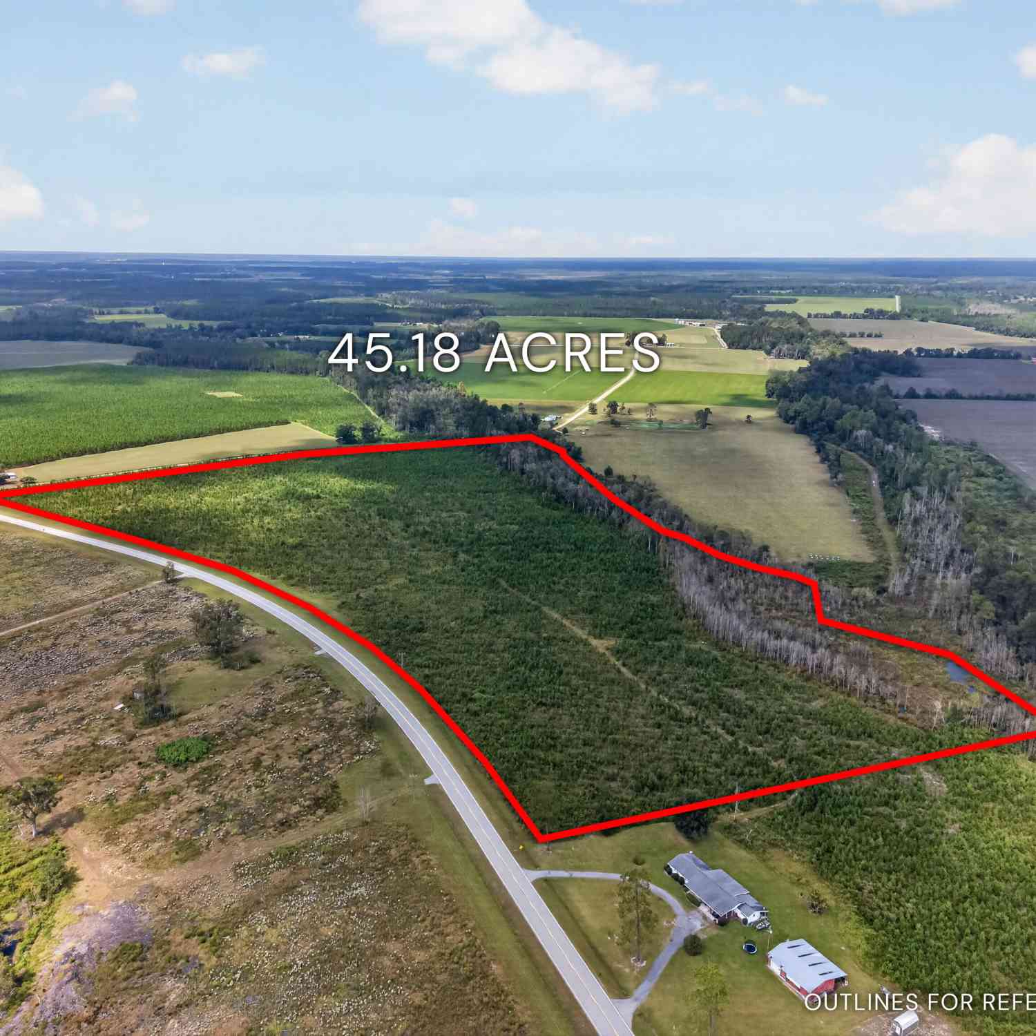 Vacant Land For Sale - TRACT 2 Highway 203<br/> Pierce County, Blackshear, GA 31516