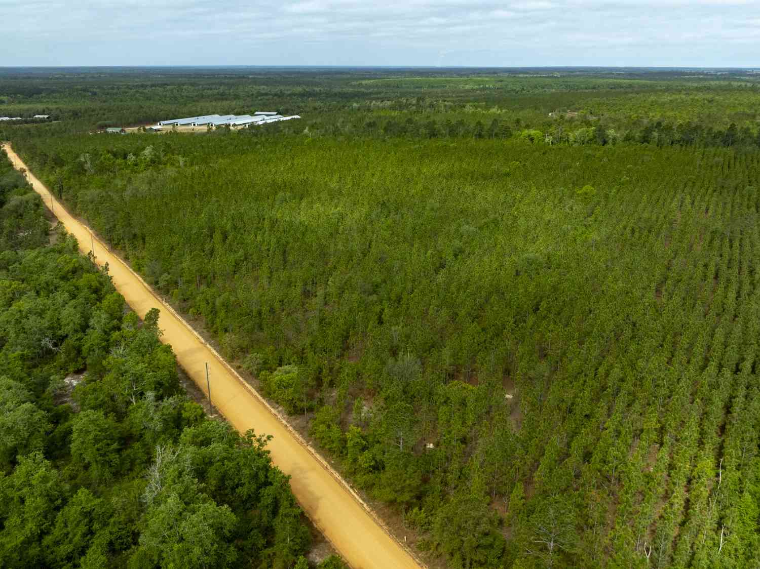 Vacant Land For Sale - Rushing Boone Road<br/> Tattnall County, Glennville, GA 30427
