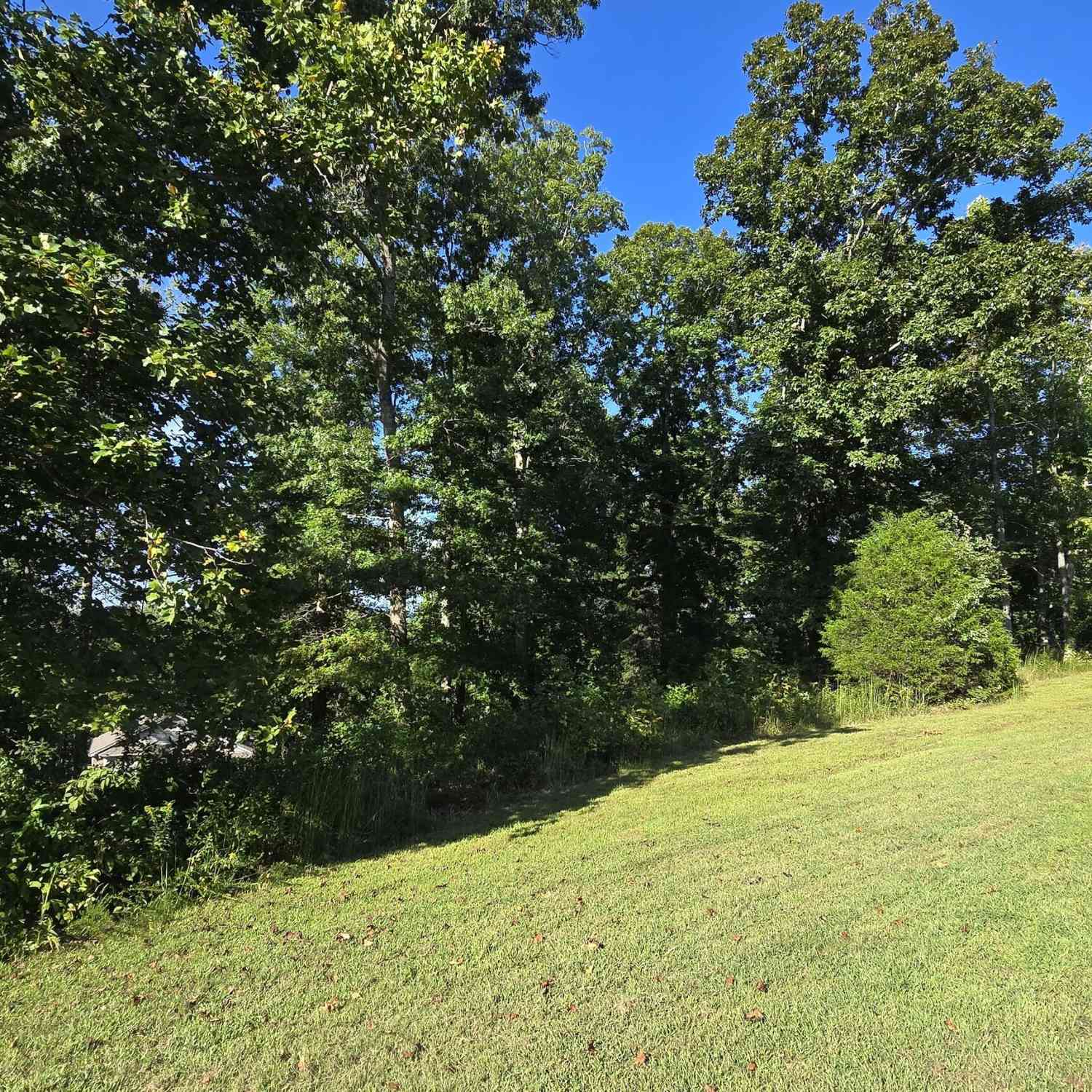 Vacant Land For Sale - LOTS 5 & 5A Chatuge Cove Greens<br/> Clay County, Hayesville, NC 28904
