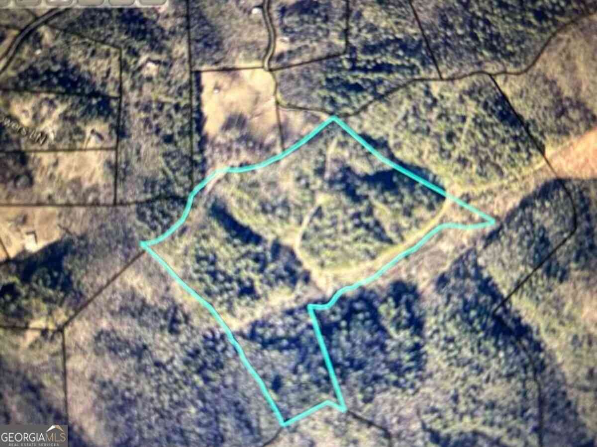 Vacant Land For Sale - 40 ACRE Valley Lake Road<br/> Mineral Bluff, GA 30559