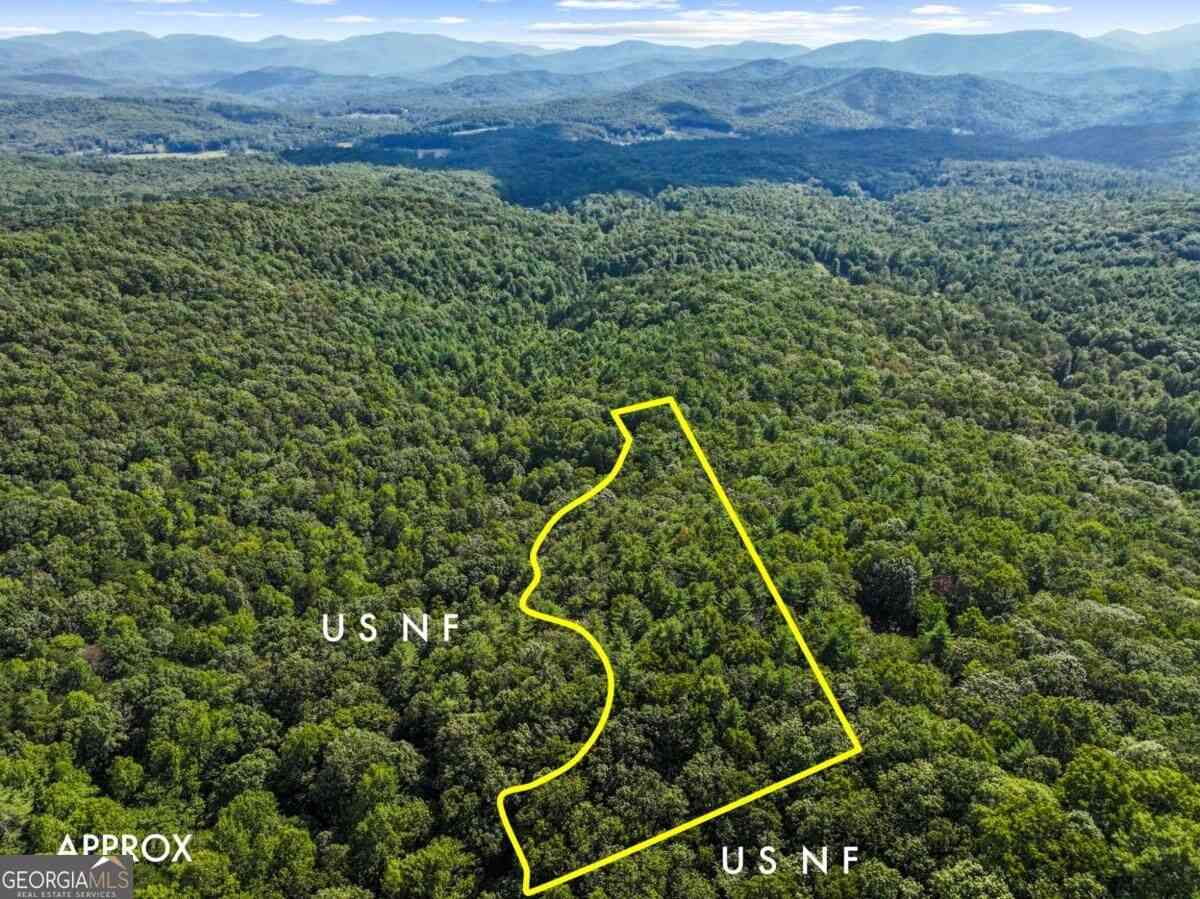 Vacant Land For Sale - 5.5 ACRE Forest Service Rd 35<br/> Fannin County, Blue Ridge, GA 30513