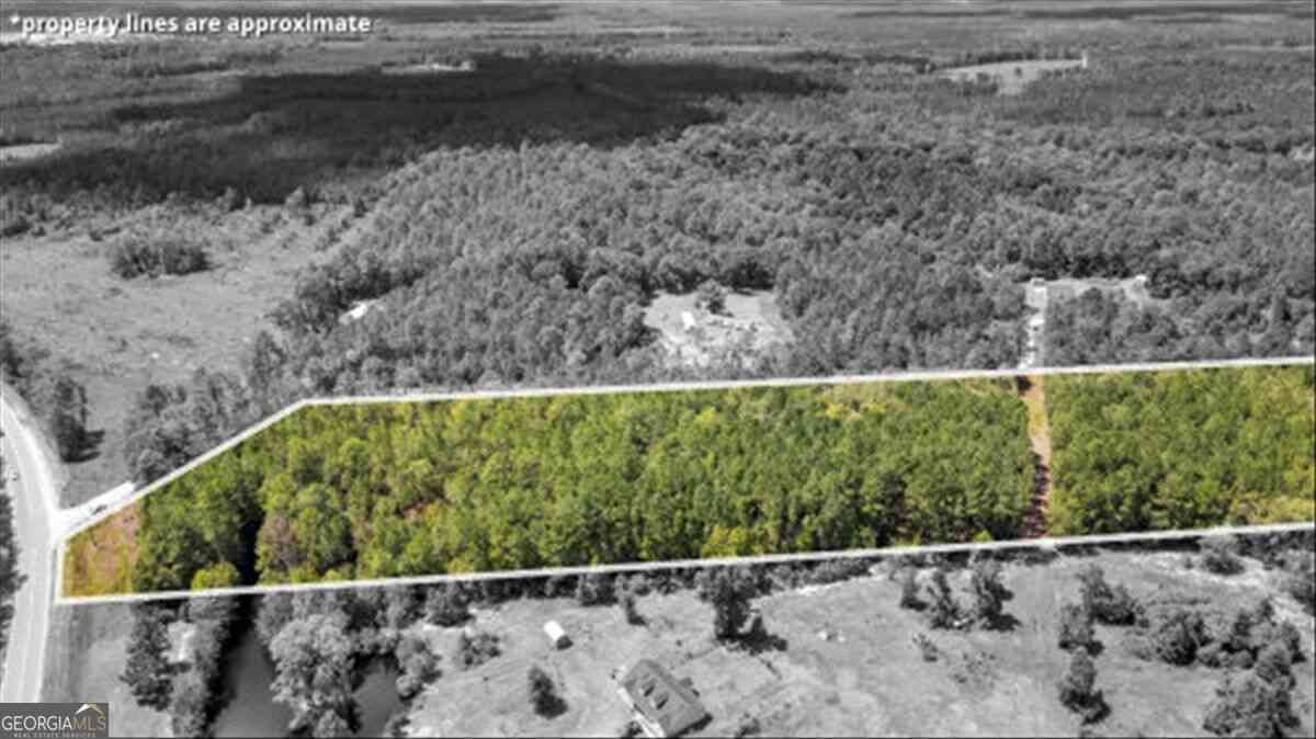 Vacant Land For Sale - 15.5 AC Elim Church Road NE<br/> Ludowici, GA 31316