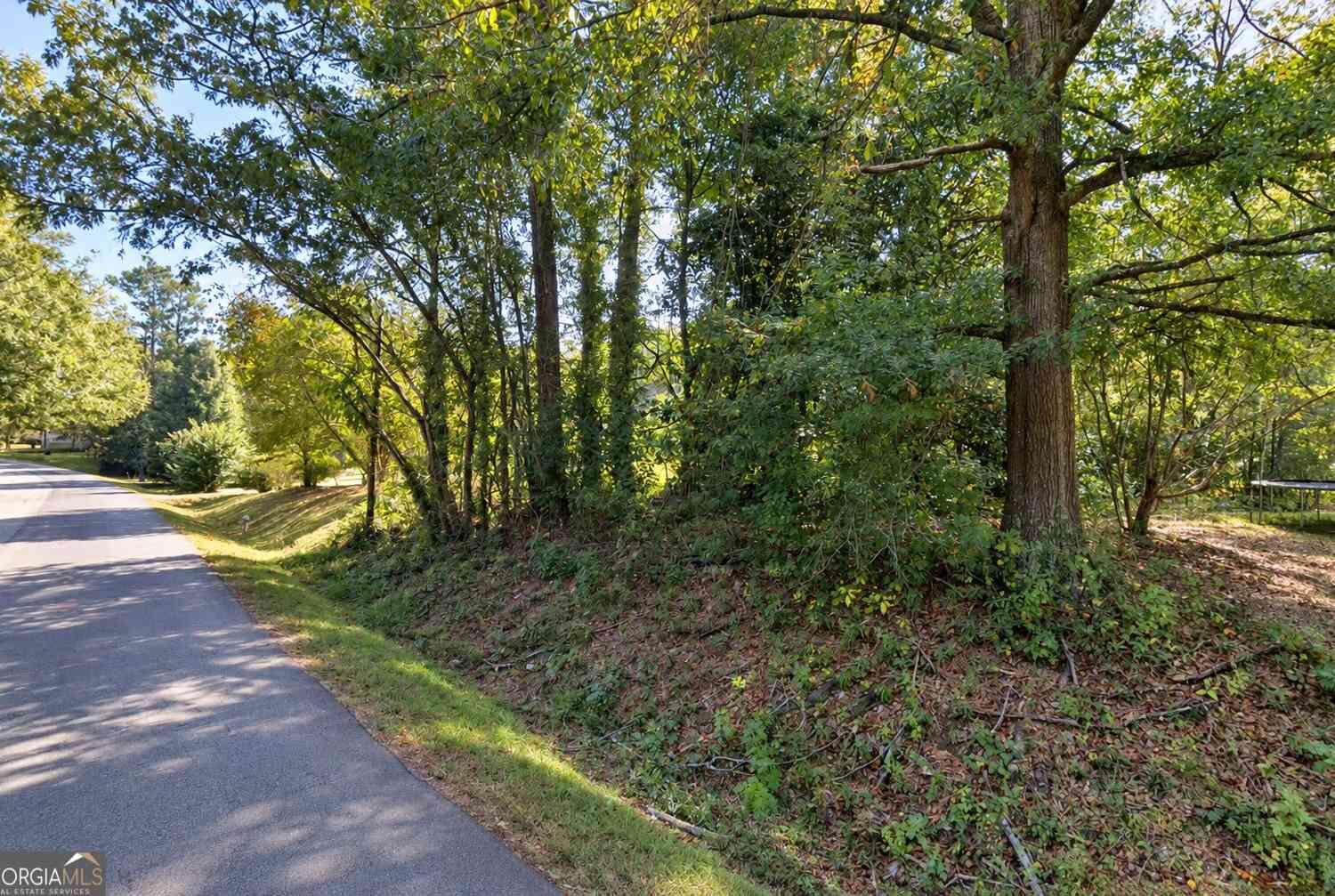 Vacant Land For Sale - 320 Simonton Mill Road<br/> Carroll County, Carrollton, GA 30117