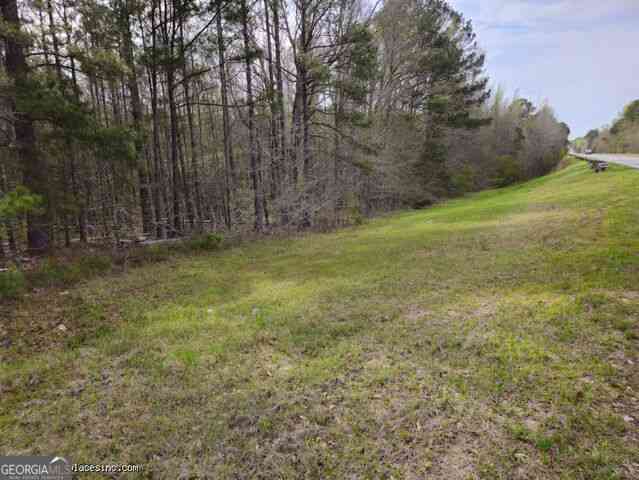 Vacant Land For Sale - Us Highway 341 N<br/> Musella, GA 31066