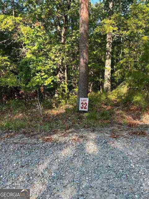 Vacant Land For Sale - LT 32 Buck Creek Road<br/> Ellijay, GA 30540