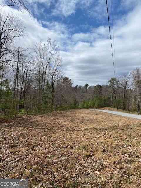 Vacant Land For Sale - LT 54 Honeysuckle Way<br/> Ellijay, GA 30540