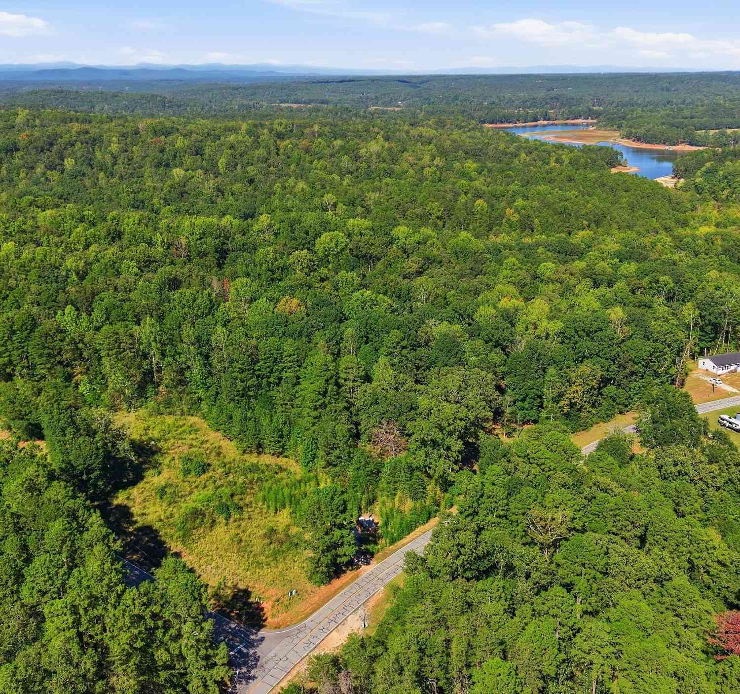 Vacant Land For Sale - 2375 E Silver Shoals Road #TRACT 2<br/> Toccoa, GA 30577
