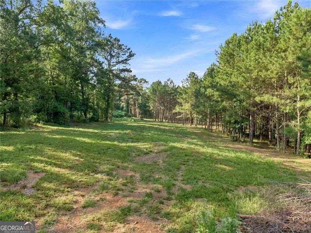 Vacant Land For Sale - 283 Leo Taylor Lane<br/> Cherokee County, Ball Ground, GA 30107
