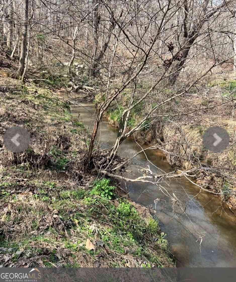 Vacant Land For Sale - River Road<br/> Jasper County, Monticello, GA 31064