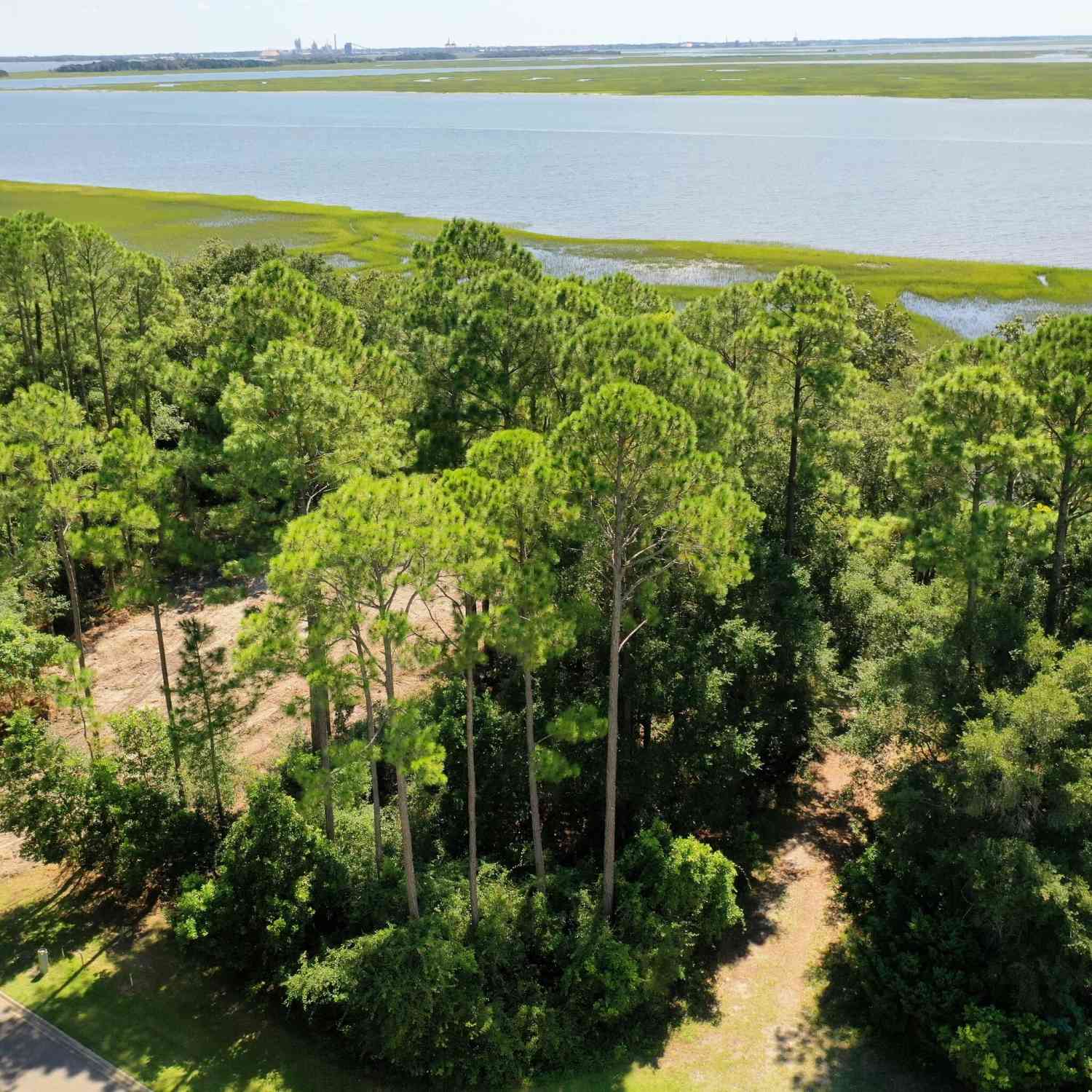 Vacant Land For Sale - White Caps Way #1077<br/> Saint Marys, GA 31558