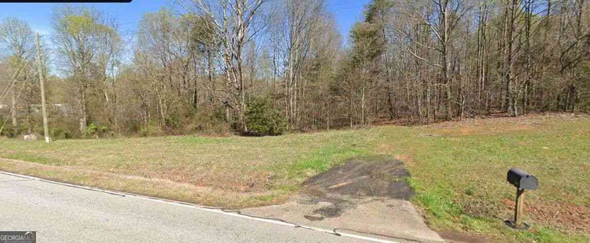 Vacant Land For Sale - 2300 Highway 198<br/> Carnesville, GA 30521