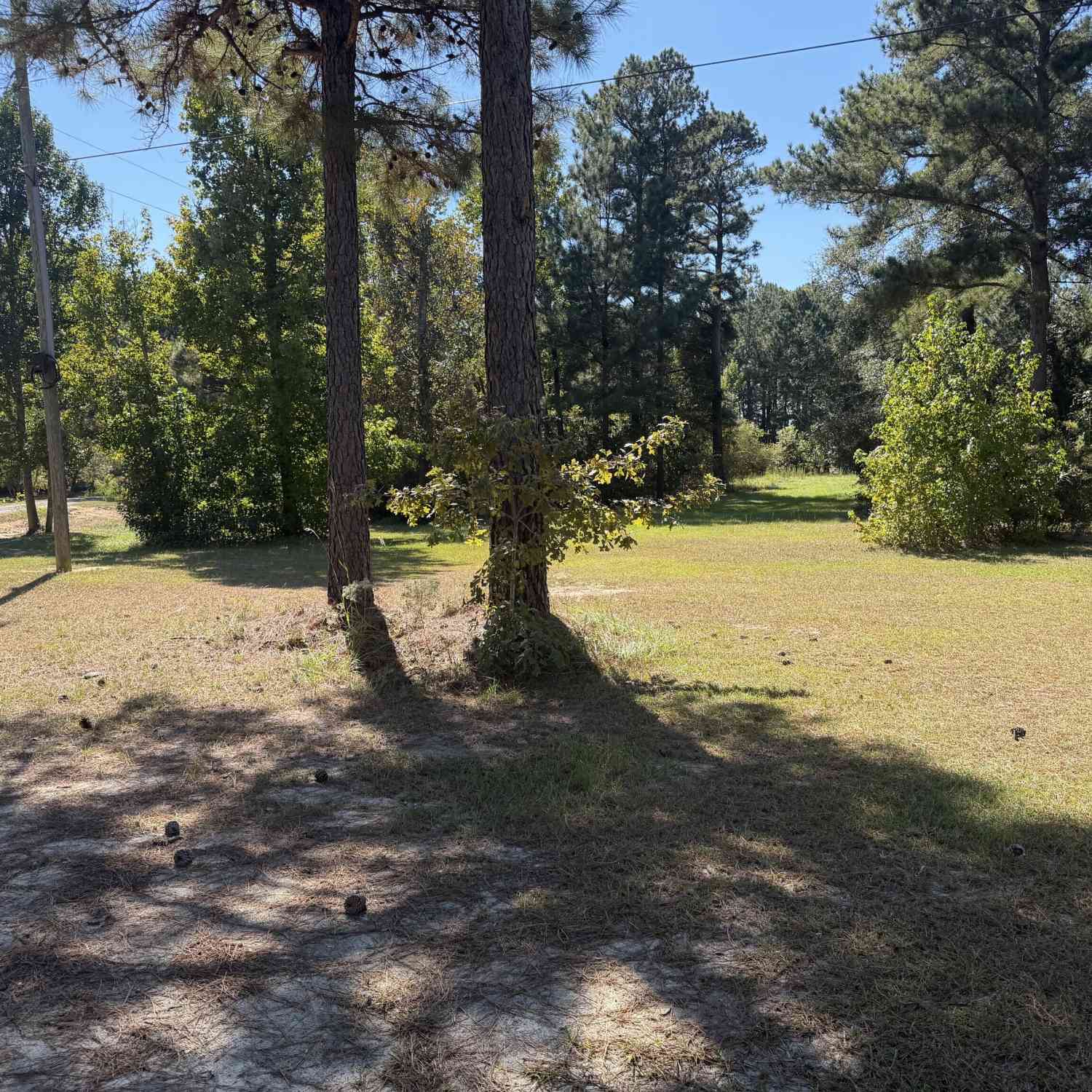 Vacant Land For Sale - Edna Moore Road<br/> Eastman, GA 31023