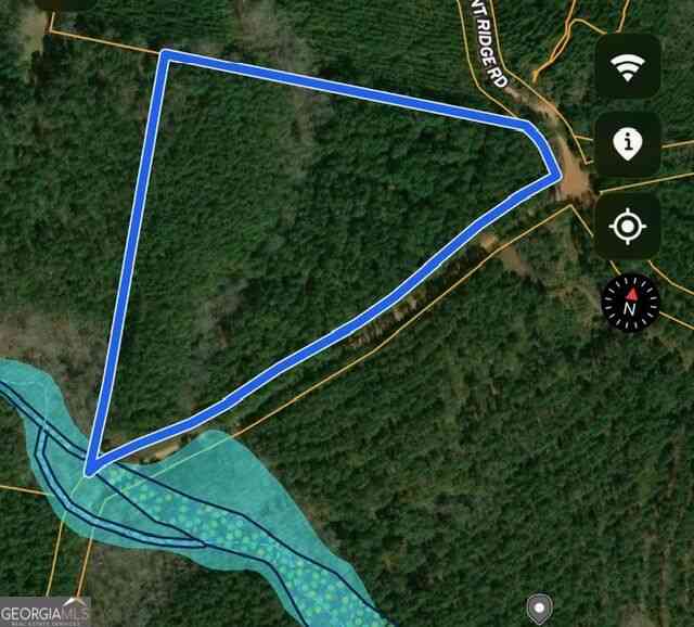 Vacant Land For Sale - 17 ACRES Carlisle Gap Road<br/> Talbot County, Woodland, GA 31836