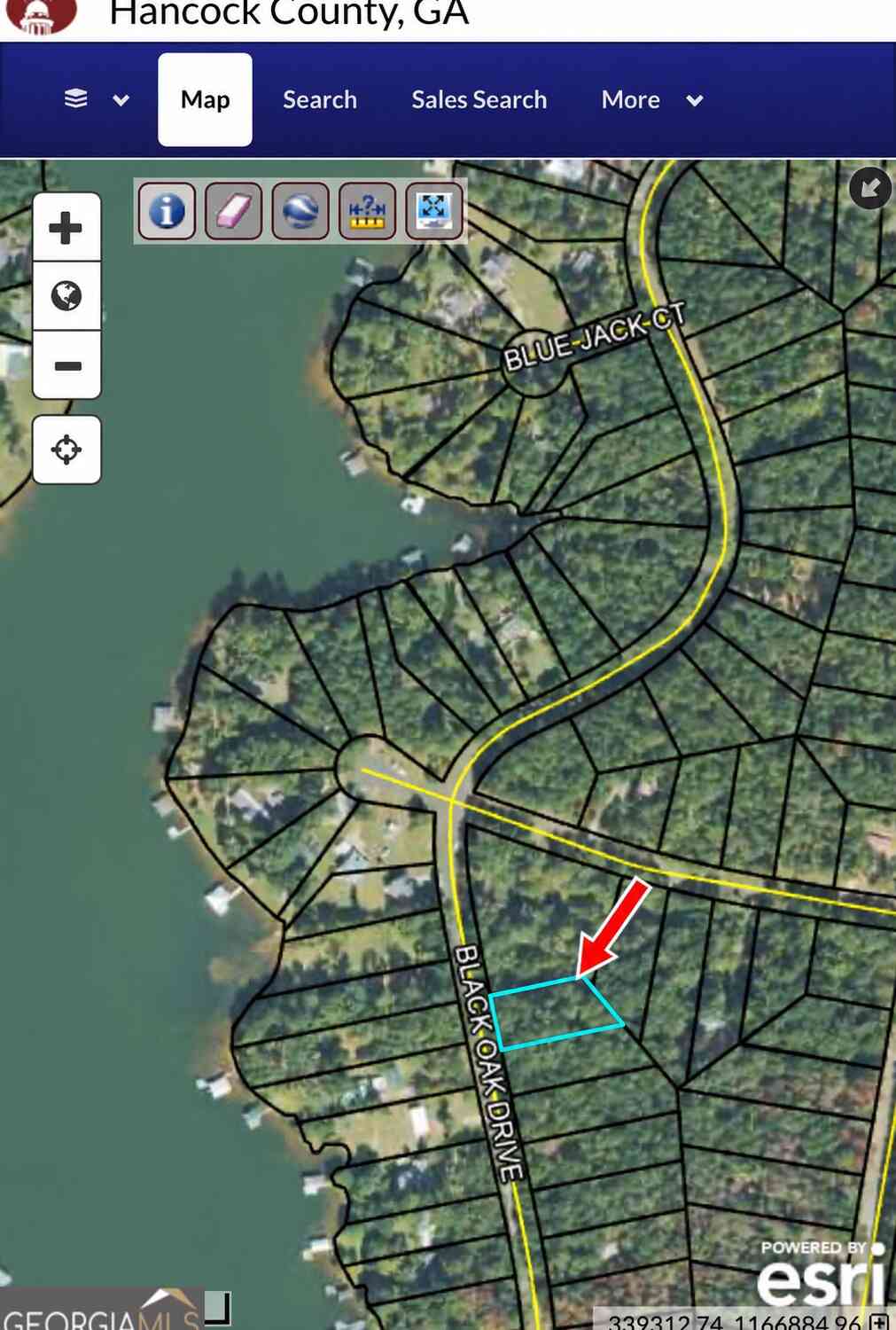 Vacant Land For Sale - LOT 252 Black Oak Drive<br/> Sparta, GA 31087