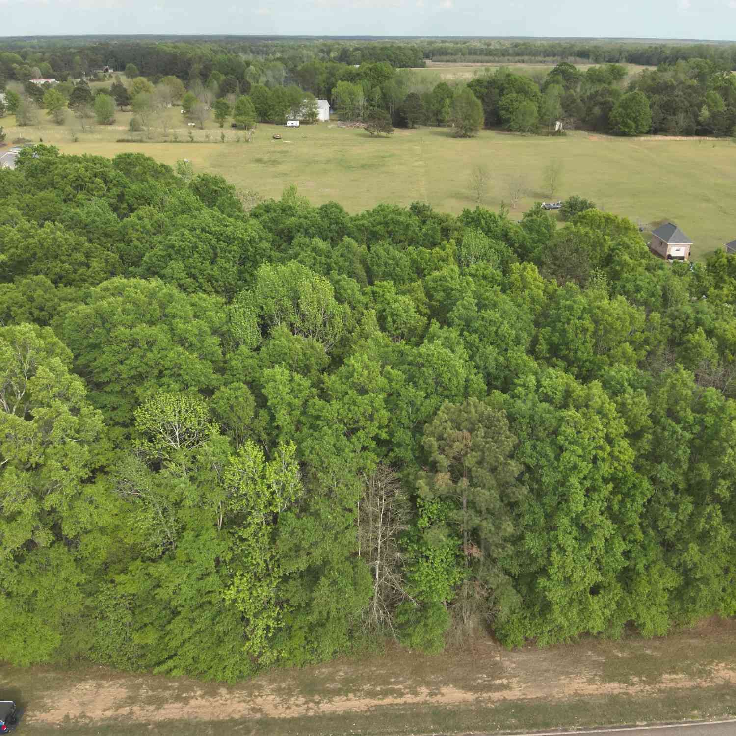 Vacant Land For Sale - 224 Scott Road<br/> Elko, GA 31025