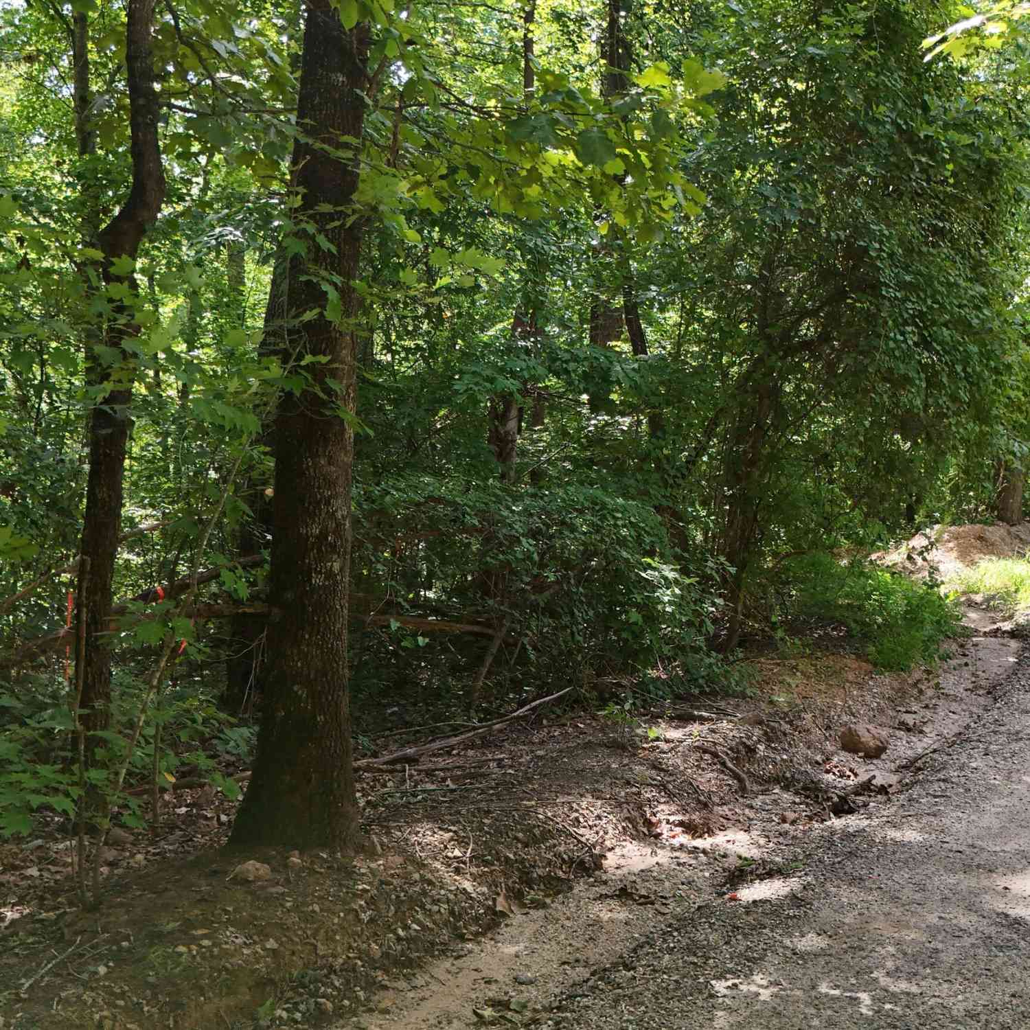 Vacant Land For Sale - LOT 174 Mountain Crest Drive<br/> Clarkesville, GA 30523