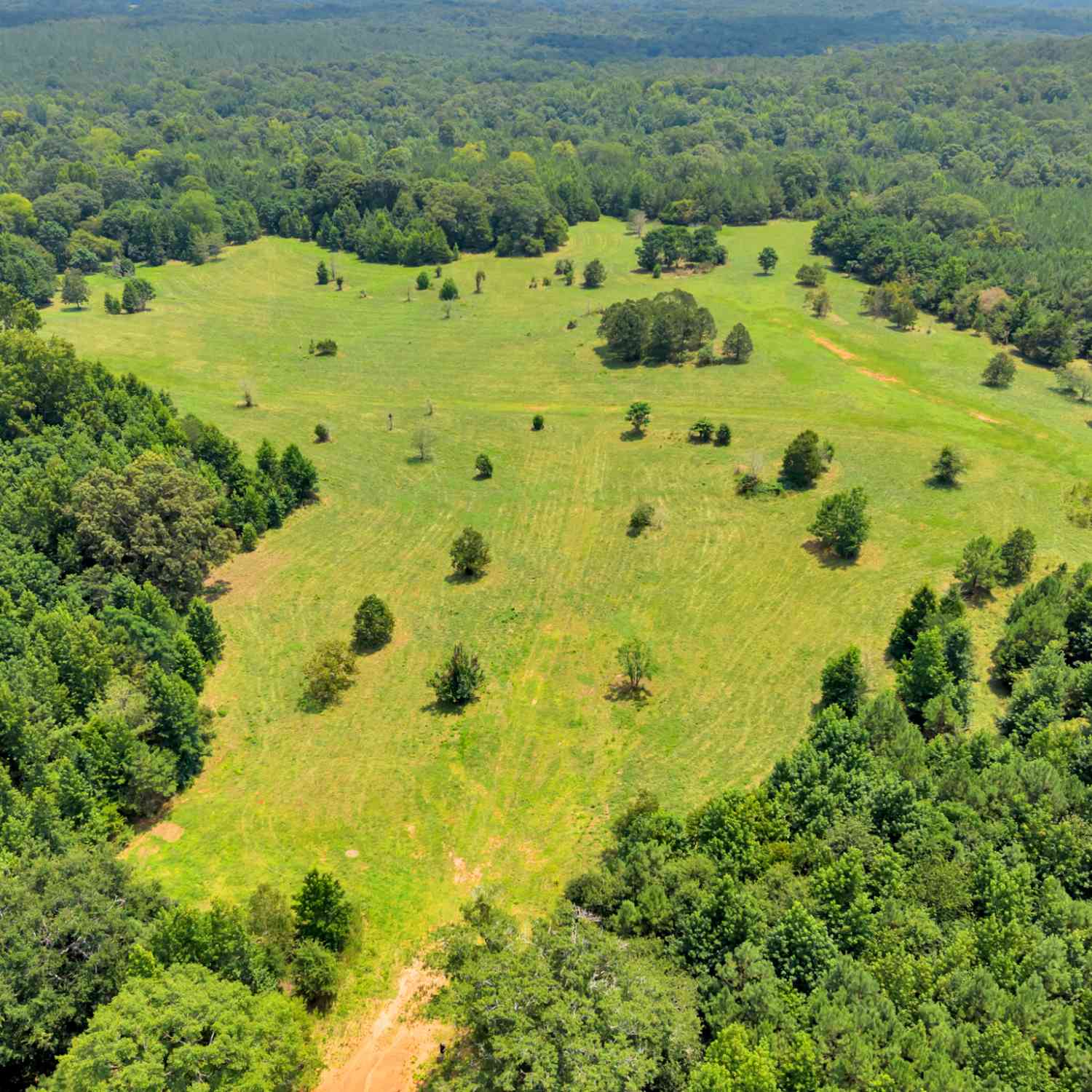 Vacant Land For Sale - 2361 Salem Road<br/> Oconee County, Watkinsville, GA 30677