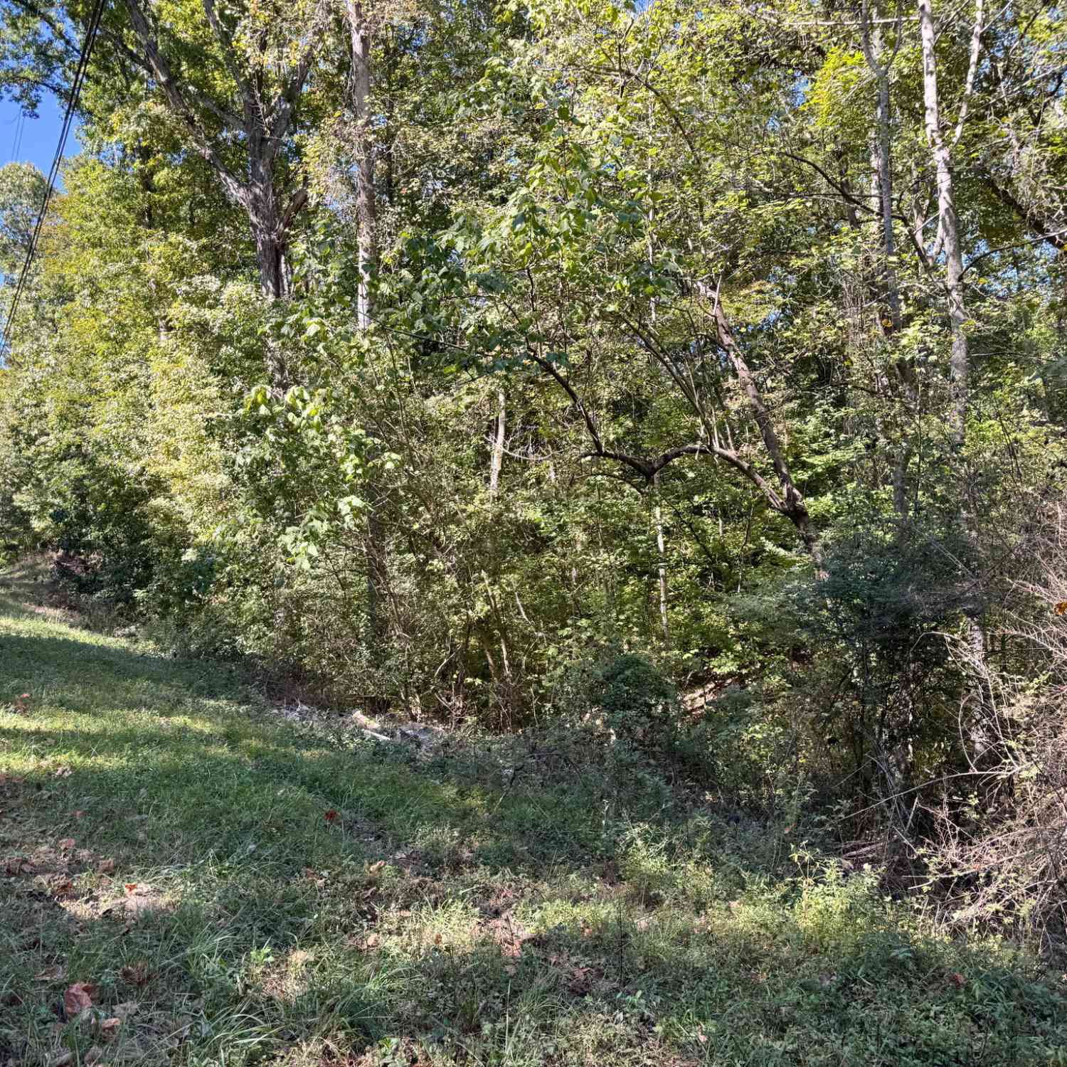 Vacant Land For Sale - (barrington Subd) 16 Approved #LOTS READY TO BUILD<br/> Covington, GA 30016
