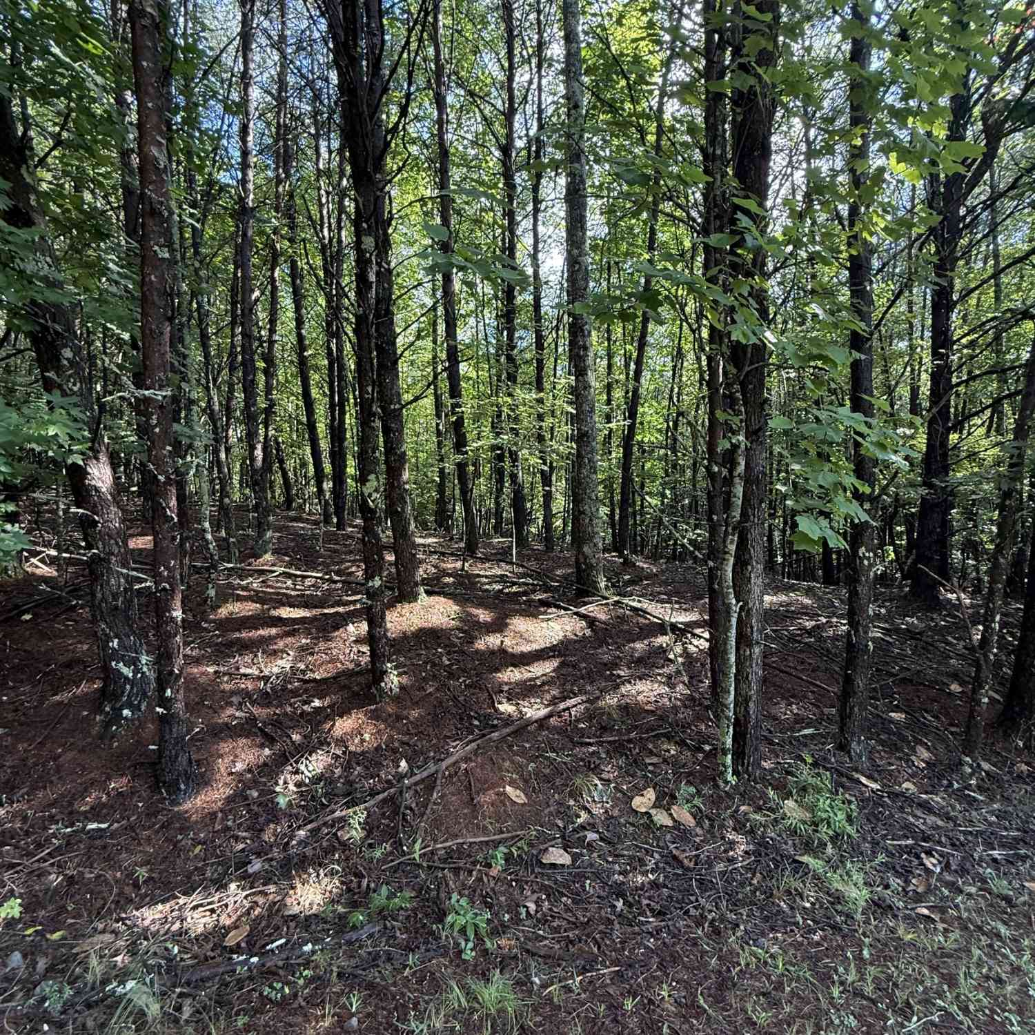 Vacant Land For Sale - LOT 4 Marci Lane<br/> Sautee Nacoochee, GA 30571