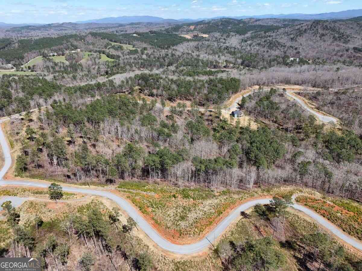 Vacant Land For Sale - 155 Shallow Water Trail<br/> Talking Rock, GA 30175