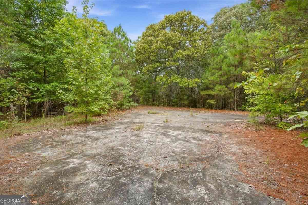 Vacant Land For Sale - 138 Roy Dean Road<br/> Buchanan, GA 30113
