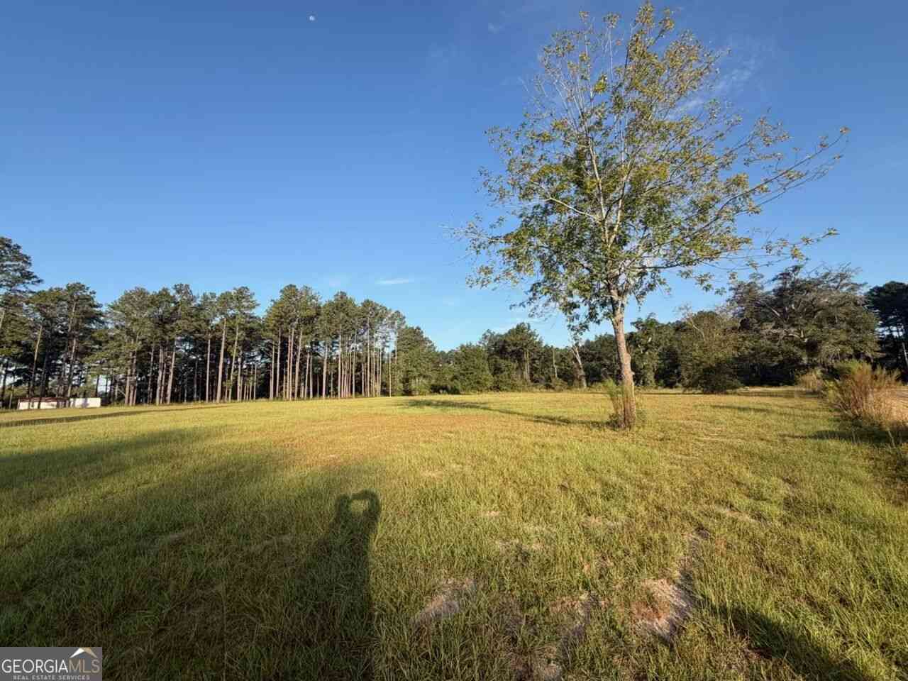 Vacant Land For Sale - 2029 Memphis Road<br/> Metter, GA 30439