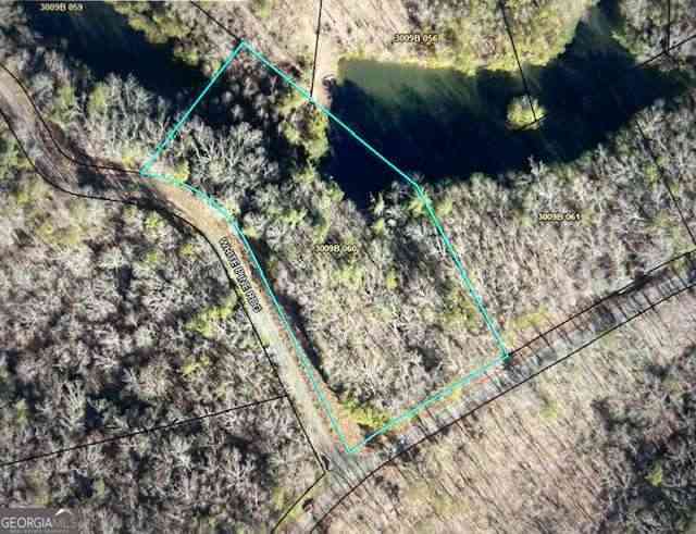 Vacant Land For Sale - LT 50 White Pine Ridge<br/> Gilmer County, Ellijay, GA 30540