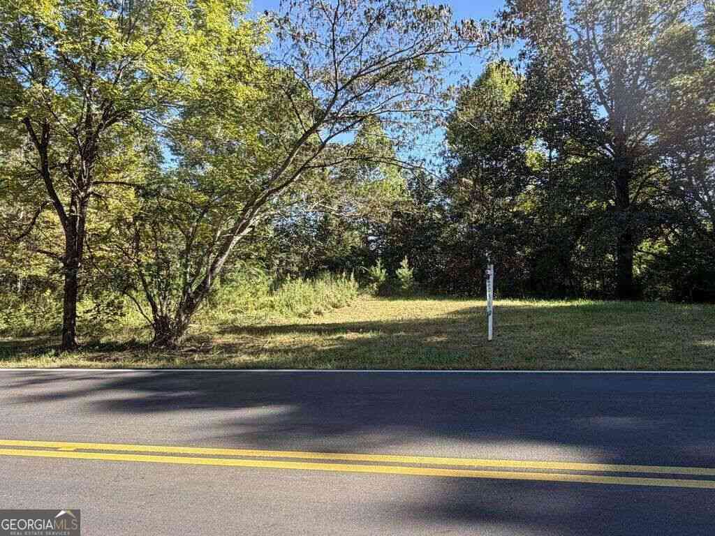 Vacant Land For Sale - 11.91 AC Hardscrabble Road<br/> Mineral Bluff, GA 30559