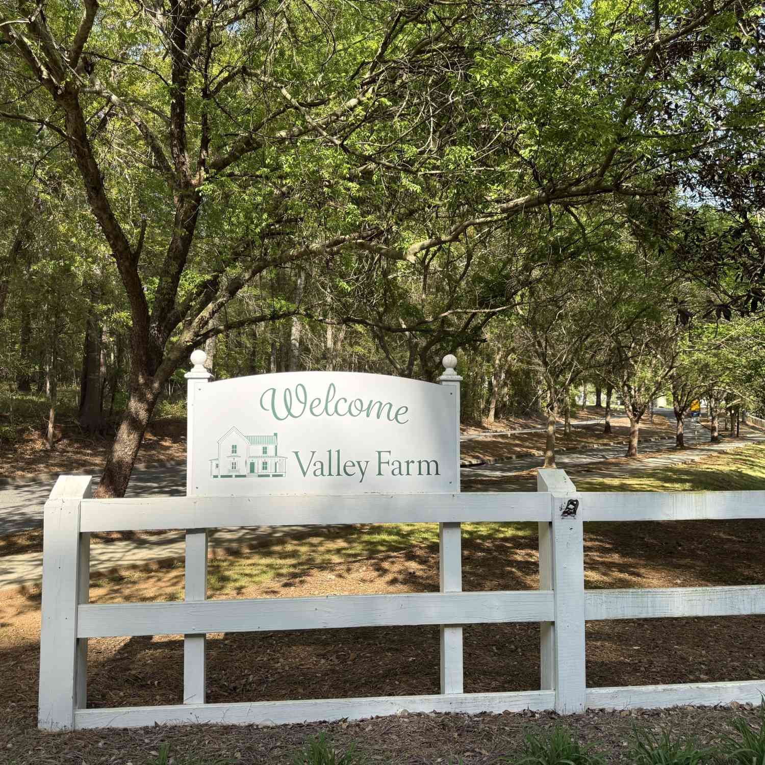 Vacant Land For Sale - 533 Village Road<br/> Madison, GA 30650
