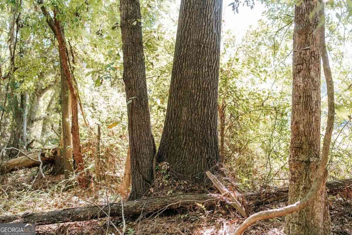 Vacant Land For Sale - Lundburg Road<br/> Washington, GA 30673