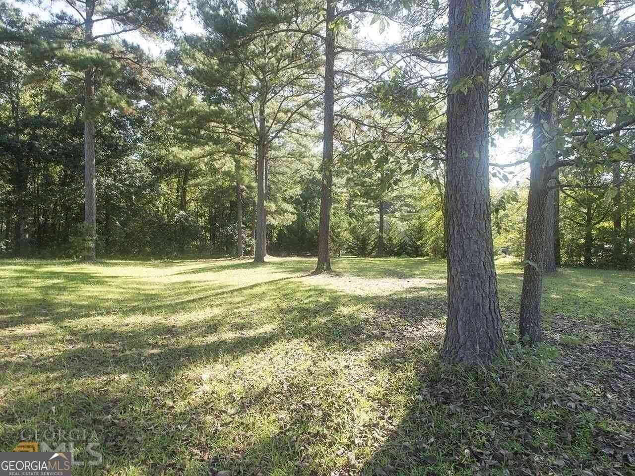Vacant Land For Sale - Old Conyers Road<br/> Henry County, STOCKBRIDGE, GA 30281