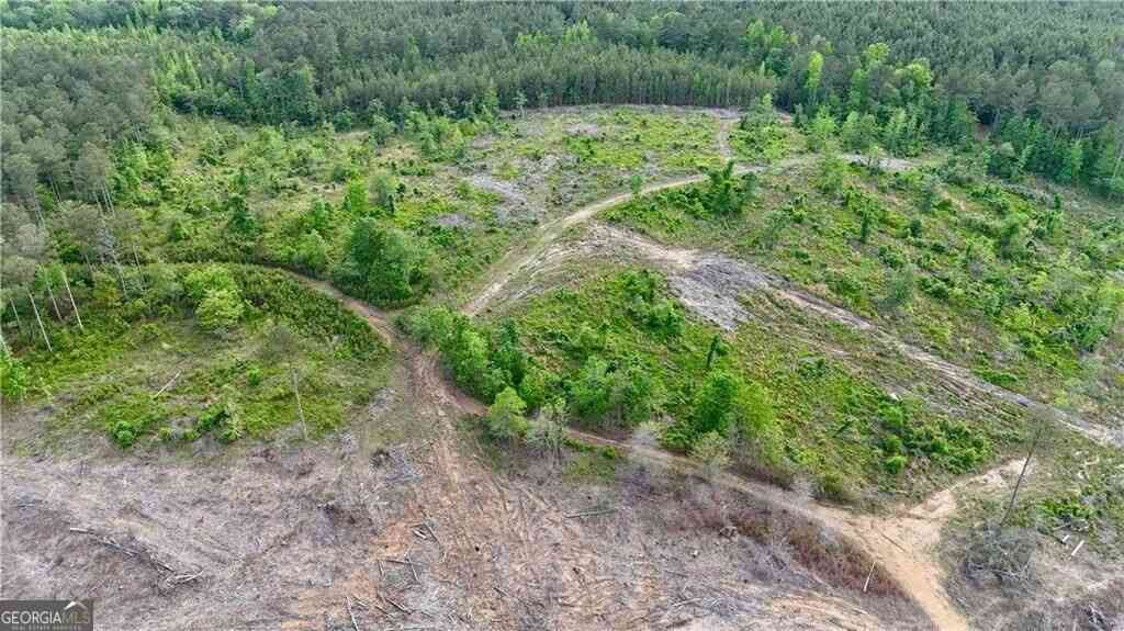 Vacant Land For Sale - John Kay Road<br/> Bartow County, Taylorsville, GA 30178