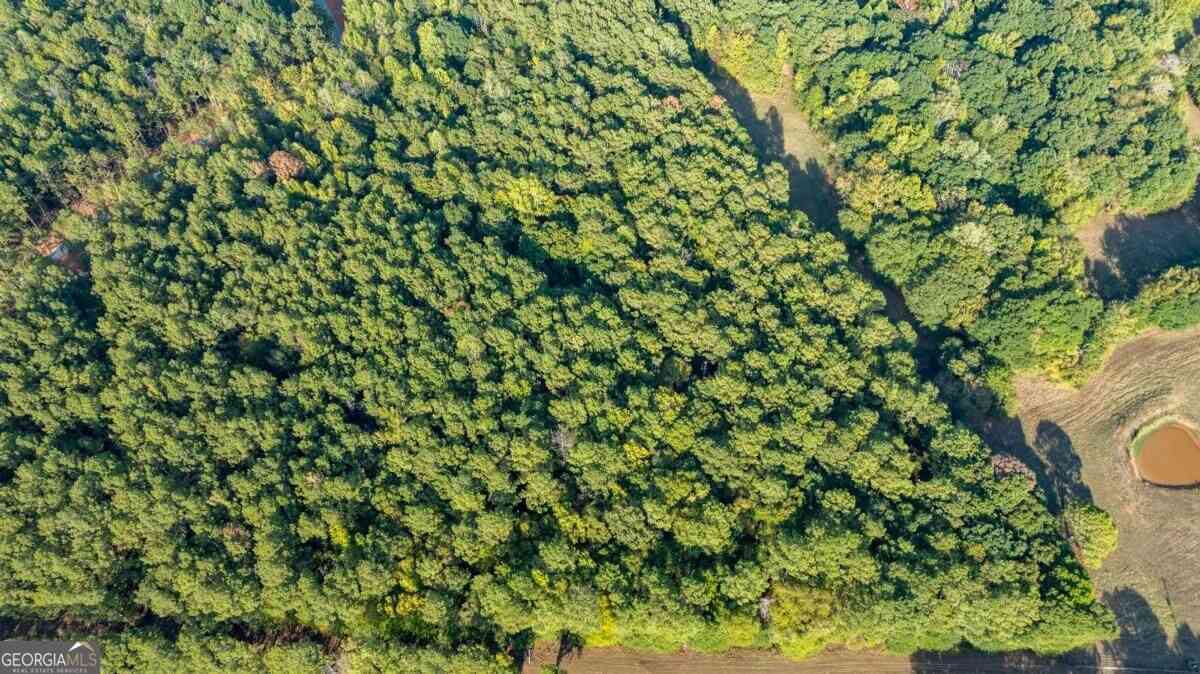Vacant Land For Sale - 3171 Salem Road<br/> Watkinsville, GA 30677