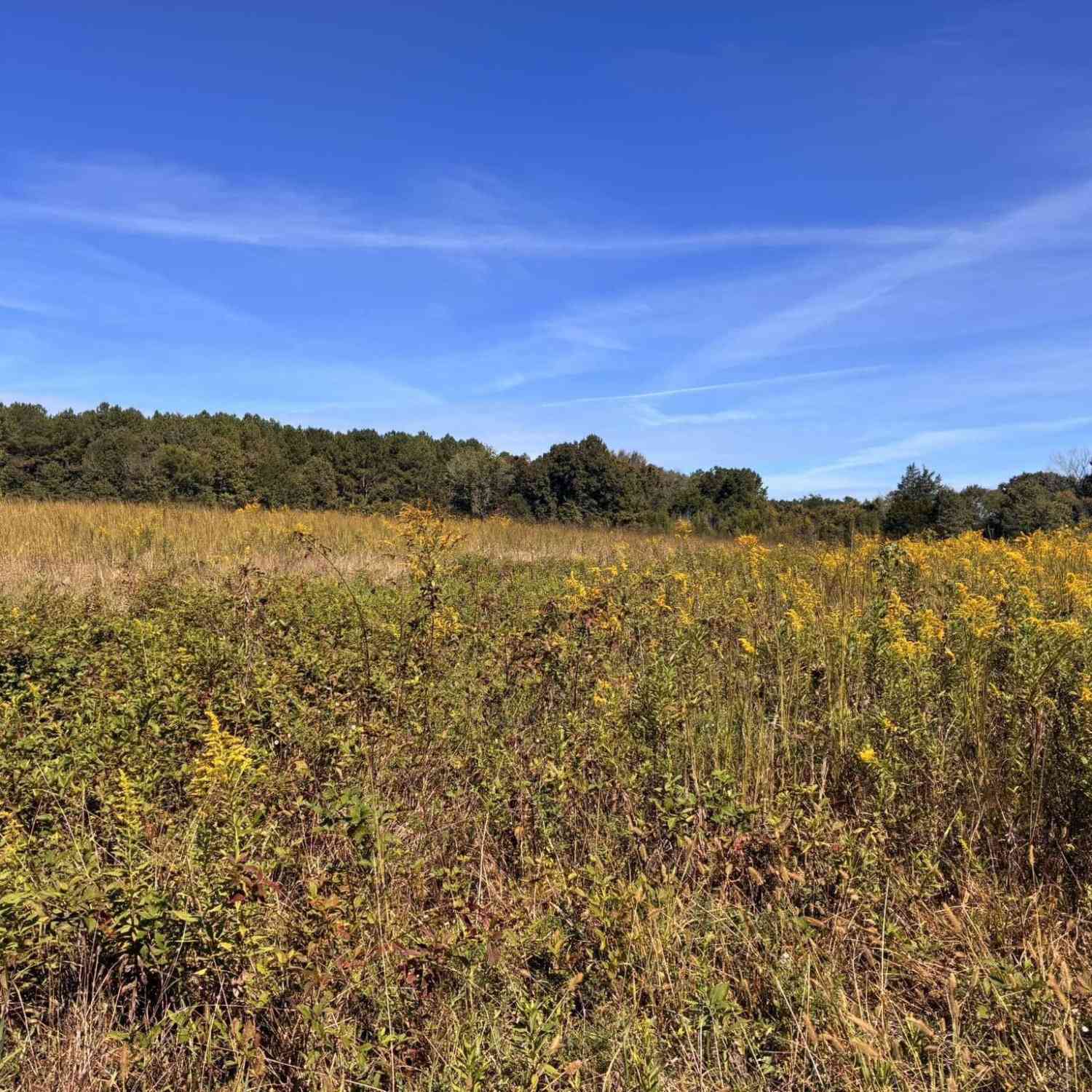Vacant Land For Sale - 36.55 ACRES Back Valley Road<br/> Lyerly, GA 30730