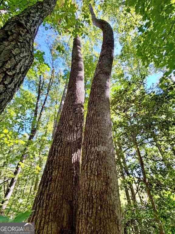 Vacant Land For Sale - Hatcher Spangler Road<br/> Shelby, NC 28150