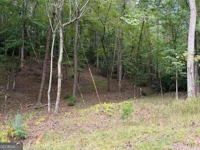 Vacant Land For Sale - 133 Seneca Drive<br/> Gilmer County, Ellijay, GA 30540