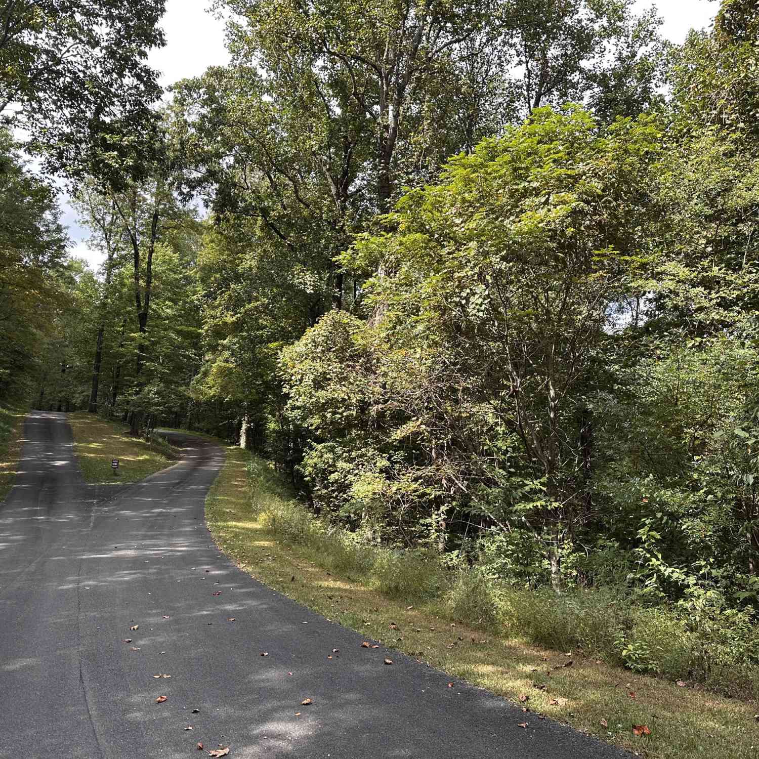 Vacant Land For Sale - 7R Mountain Falls Loop<br/> Ellijay, GA 30536