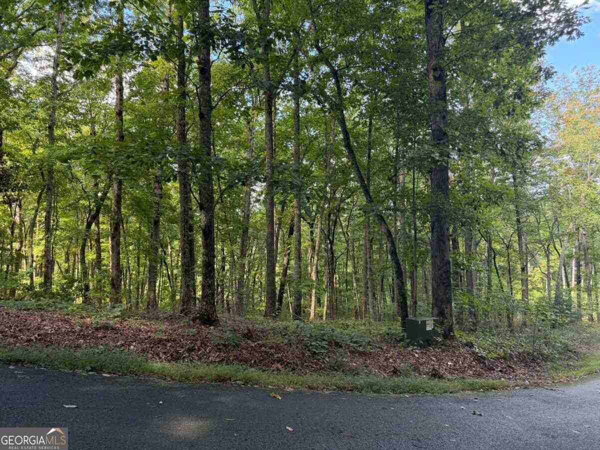 Vacant Land For Sale - LOT 33 Falcon Overlook<br/> Hayesville, NC 20894
