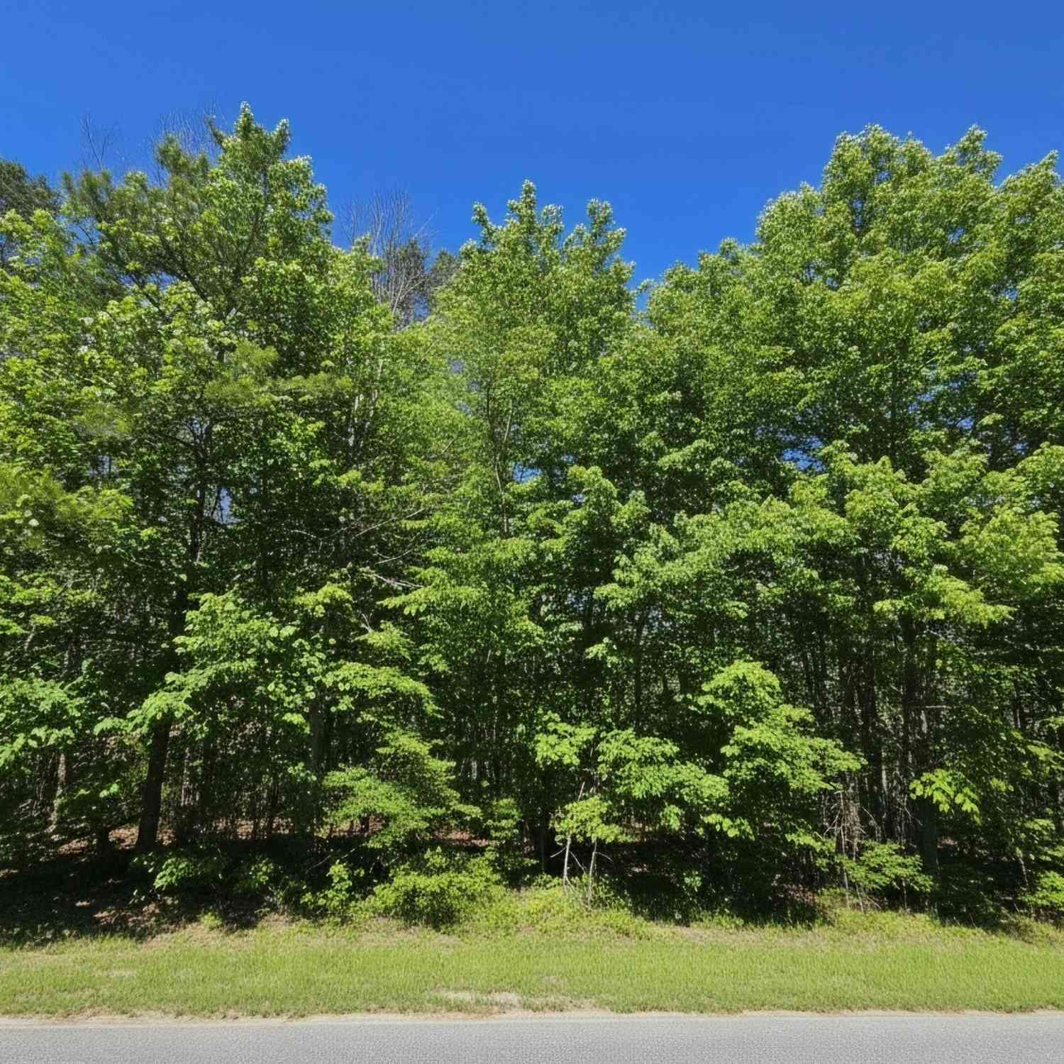 Vacant Land For Sale - River Shoals Ct<br/> Covington, GA 30016