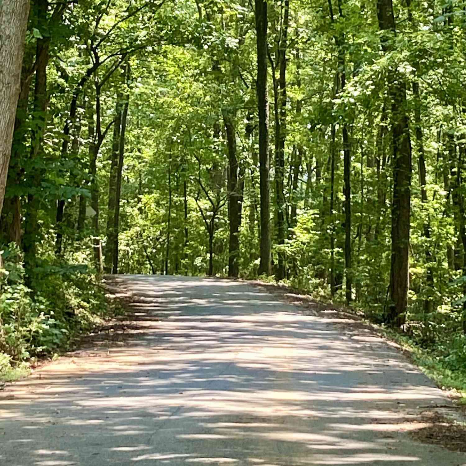 Vacant Land For Sale - Old White Oak Cemetery Road<br/> Dallas, GA 30157